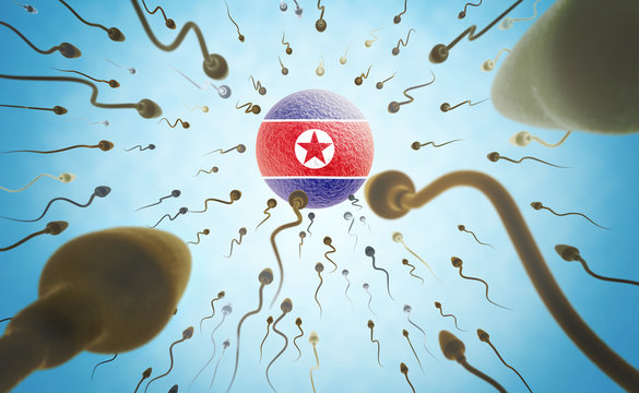 Immigration concept: Sperms swimming towards North Korea.(series