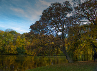 Schlosspark. Herbst. Schloss. Burg. Herbs im Wald.