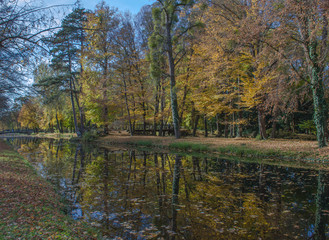 Fototapeta premium Schlosspark. Herbst. Schloss. Burg. Herbs im Wald.