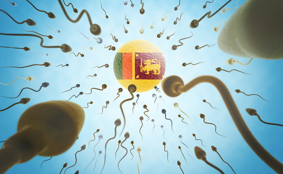 Immigration concept: Sperms swimming towards Sri Lanka.(series)