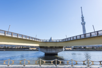 隅田川と桜橋