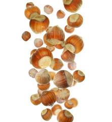 Many heap beautiful  large hazelnuts cobnut fall down close-up macro isolated on white background.