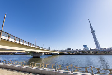 隅田川と桜橋