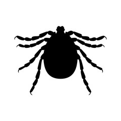 Tick
