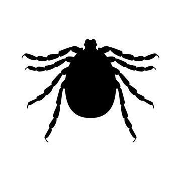 black tick silhouette on white background clip art preview