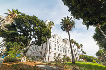 Fototapeta na wymiar garden in City Hall Los Angeles
