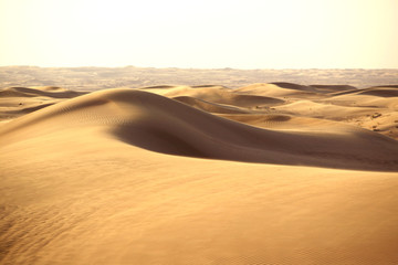 Fototapeta na wymiar Sanddünen in der Wüste bei Dubai, Vereinigte Arabische Emirate, Naher Osten