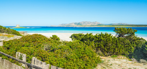 Obraz premium Tower in La Pelosa beach