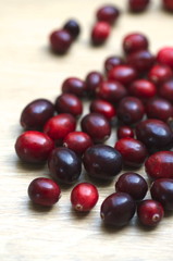 Cranberry