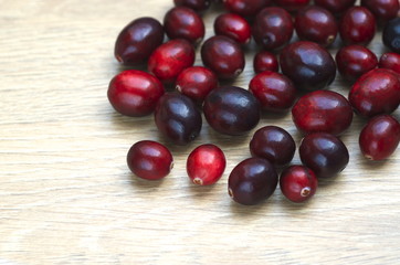 Cranberry