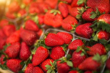 Strawberries at marketplace.