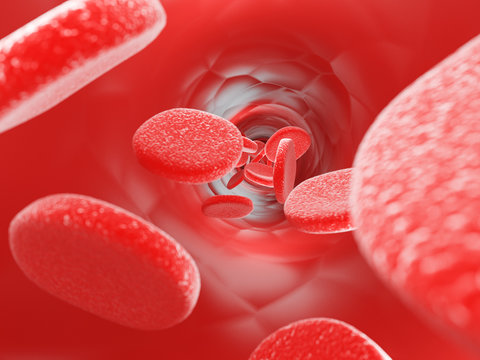 Globuli rossi del sangue 