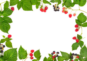 Frame of ripe raspberries and blackberries isolated on white