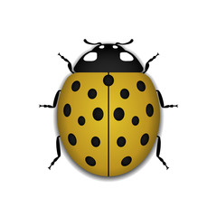 Ladybug small icon. Yellow lady bug sign, isolated on white background. 3d volume design. Cute colorful ladybird. Insect cartoon beetle. Symbol of nature, spring or summer. Vector illustration