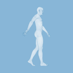 Walking Man. 3D Human Body Model. Geometric Design. 