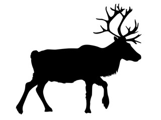 トナカイのシルエット