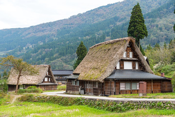 Fototapeta na wymiar Shirakawago old village in japan
