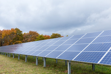 Solar panel plant