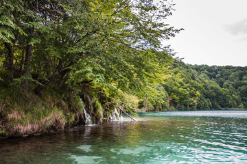 Streams flowing into the forest lake. Plitvice, National Park, C