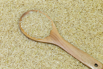 Rice seed