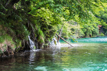 Streams flowing into the forest lake. Plitvice, National Park, C