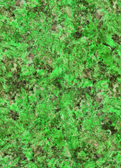 green rock seamless texture macro