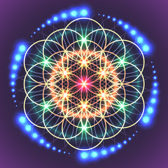 Sacred Geometry Flower of Life