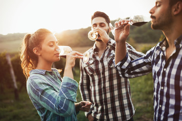 Wine grower and people in vineyard