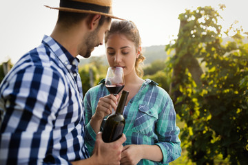 Fototapeta premium Romantic couple in vineyard before harvesting