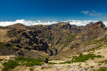 Obraz premium Portugal. Madeira island.