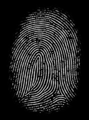 Black and white fingerprint in high definition and detailing. Good as mask or alpha channel.