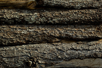 Board With Bark