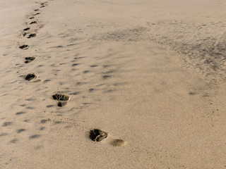 Footprints in the sand – sandy beach.