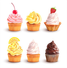 Cupcake collection isolated on white. Vector set