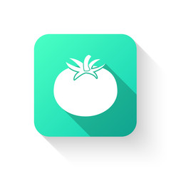 Tomato icon in a flat style on  white background