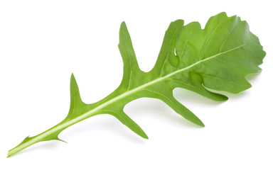 Close up studio shot of green fresh rucola leaves isolated on wh