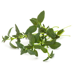 Thyme fresh herb isolated on white background