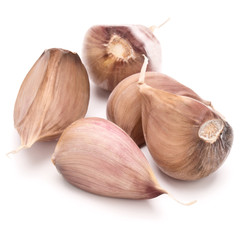 garlic cloves isolated on white background cutout