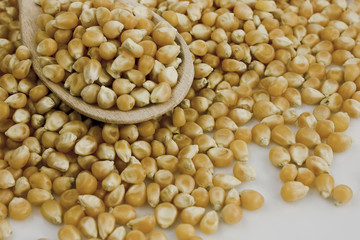 Corn grains and wooden spoon on white background. Still-life picture taken in studio with soft-box.