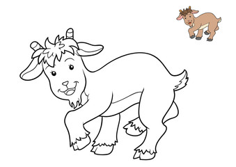 Coloring book, Goat © ksenyasavva