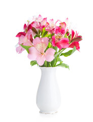 Bouquet of Alstroemeria flowers in  white porcelain vase isolated on white background.