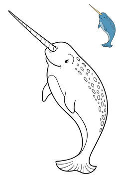 recommend clip art: Coloring book, Narwhal