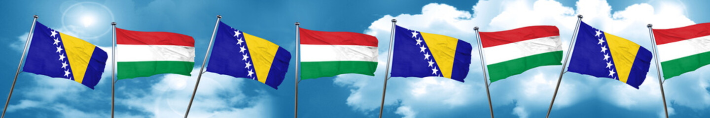 Bosnia and Herzegovina flag with Hungary flag, 3D rendering