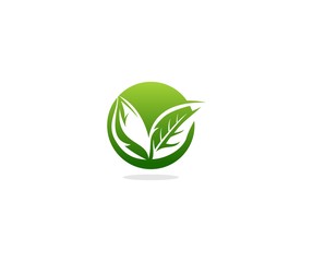 Leaf logo