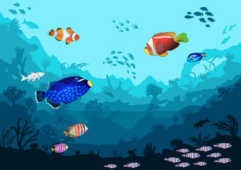 Sea underwater world with bright fish and animals