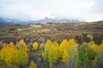 Fototapeta na wymiar autumn colorado mountain