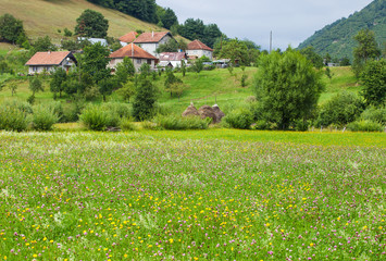 Fototapeta na wymiar Serene view of village near Plav town in Montenegro