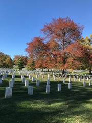 Friedhof in Arlington USA im Herbst