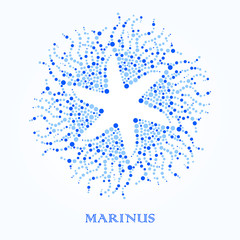 Sea Logo Template. Starfish. Water.