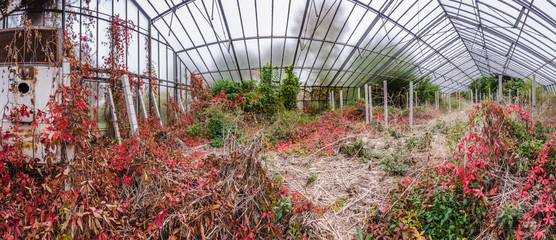 bunte verlassene gaertnerei im herbst